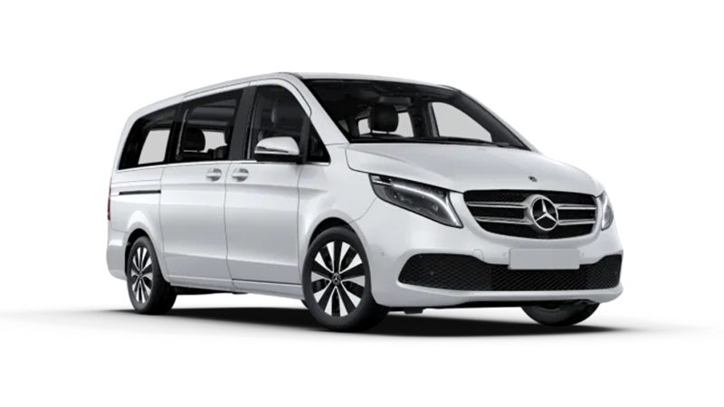V 250 AMG